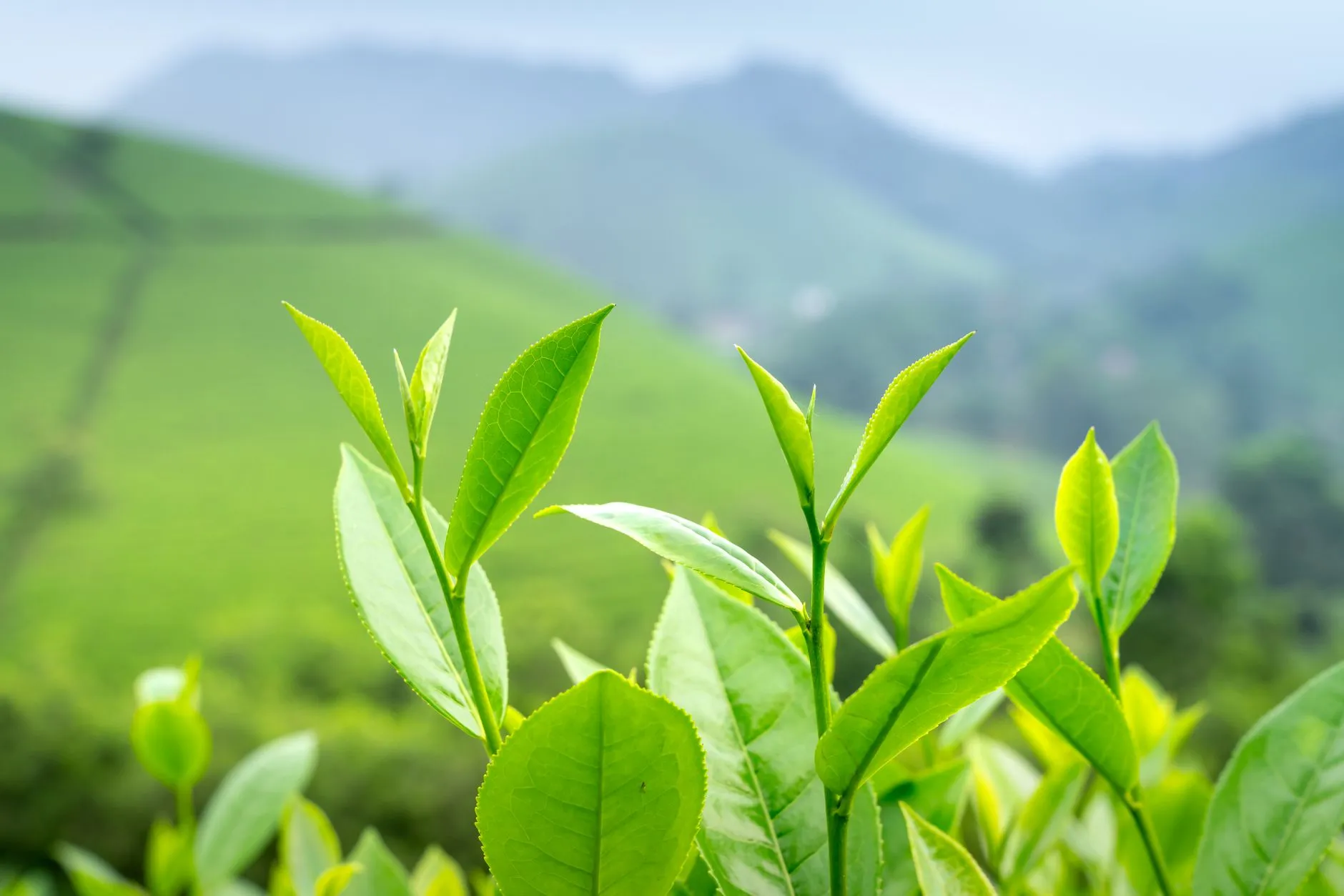 家居用品与厨房用品批发选型对比：上海贸易服务商的产品结构差异分析