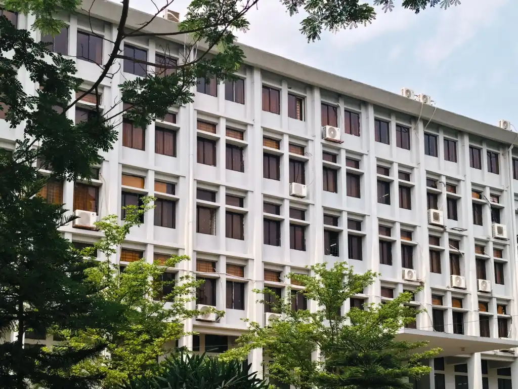 上海家居用品批发市场动态：厨房用品供应链优化方案