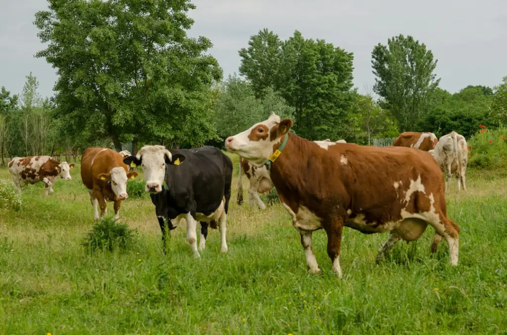 上海贸易服务公司解析：家居用品与厨房用品批发采购的选型要点